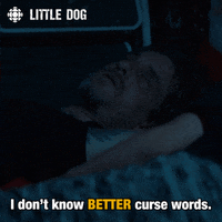 dog comedy GIF by CBC