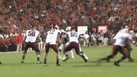 carolinefohrellsterritt giphygifmaker GIF