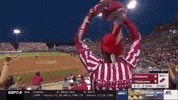 softball oklahoma GIF by NCAA Championships