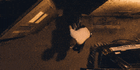 Emma Stone Film GIF by A24
