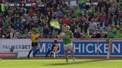 Try Nrl GIF by Canberra Raiders