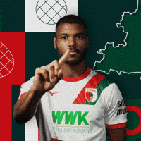 Football Bundesliga GIF by FC Augsburg 1907