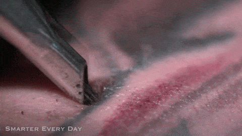 look tattoos GIF