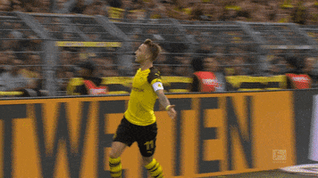marco reus football GIF by Borussia Dortmund