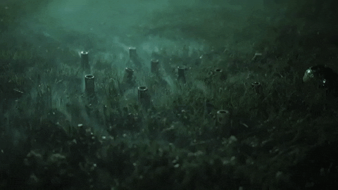 braid GIF by Topshelf Records