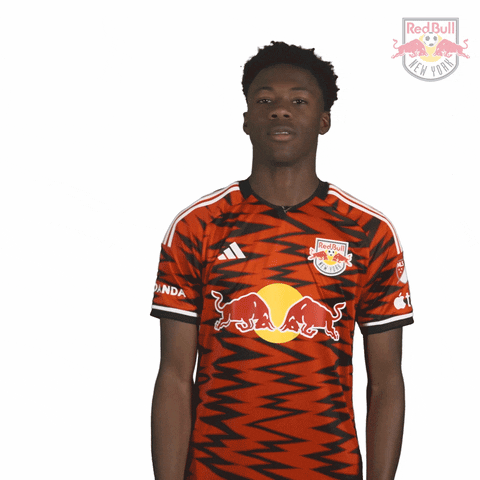 Happy Get Loud GIF by New York Red Bulls