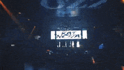 fun clubbing GIF by Grupo Mandala Mexico