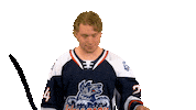 Wolf Pack Hwp Sticker by Hartford Wolf Pack