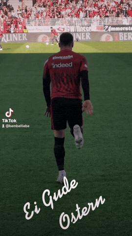 GIF by bembelliebe.de