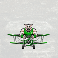Mogidascruzes GIF by consuladosep.com.br