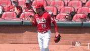 GIF by MLB
