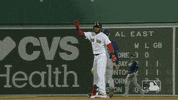 Regular Season Sport GIF by MLB
