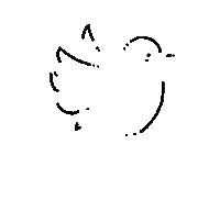 News Bird Sticker