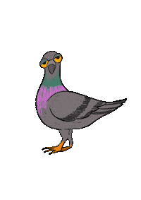 Pigeon Libertacreativa Sticker by Libertà Creativa Dominga Tammone