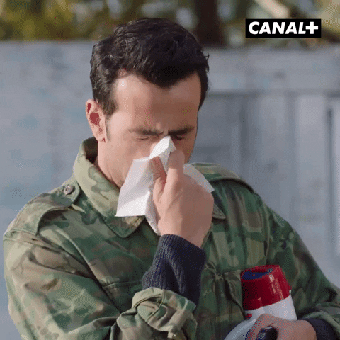 Pierre Niney Lol GIF by CANAL+