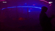 Baile GIF by Movistar+
