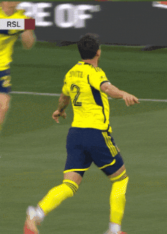 Vamos Lets Go GIF by Major League Soccer