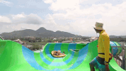 sunbeary GIF