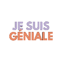 laboxdigitale motivation success succes geniale Sticker