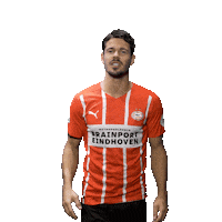 Football Celebrate Sticker by PSV