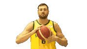 Game Basketball Sticker by FIBA