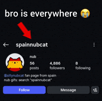 Nubspain Bro Is Everywhere GIF