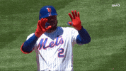 New York Mets Celebration GIF by SNY