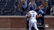 Celebrate Ny Mets GIF by New York Mets