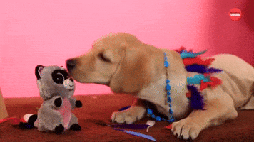 Pup-ahontas