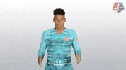 nwsl soccer nwsl goalkeeper mind blown GIF