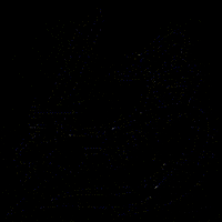govaliants manhattanville valiants mville govaliants GIF