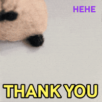 Cheers Thank You GIF