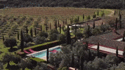 Travel Spain GIF by Casol