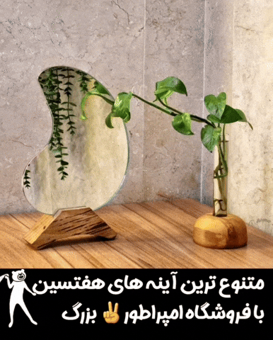 Mirror Vase GIF