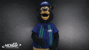 MISpeedway excited nascar fist pump brooks GIF
