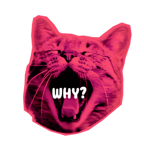Cat Love Sticker by Seorang Zaki