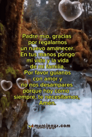 Flores Saludos GIF by Murcianys LLC
