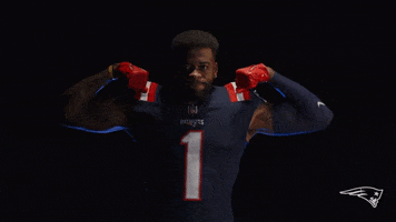 Devante Parker Sport GIF by New England Patriots