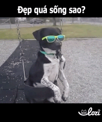 tumy GIF by Lozi Singapore Co.