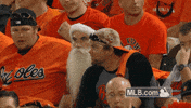 bal GIF by MLB