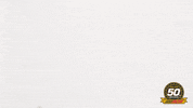 austin dillon nascar GIF by Richard Childress Racing