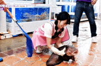 곰치 GIF