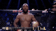 Mixed Martial Arts Sport GIF by UFC