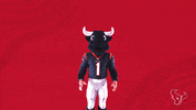 Nfl Wow GIF by Houston Texans
