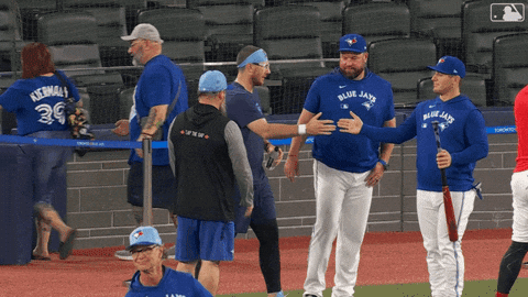Blue Jays Baseball GIF by Toronto Blue Jays