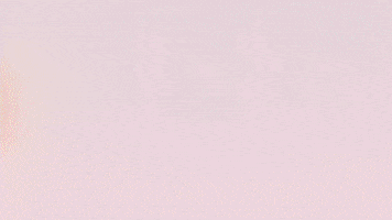 Football Sport GIF by FC Red Bull Salzburg