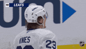 Happy National Hockey League GIF by NHL