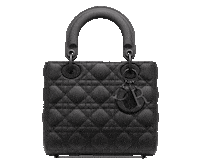 Design Shopping Sticker by Dior