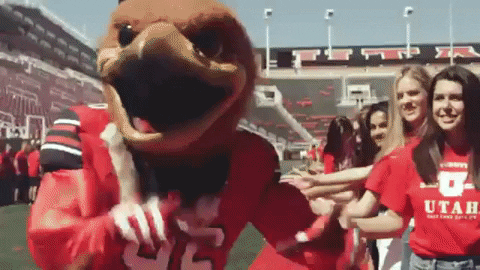GIF by UGivingDay