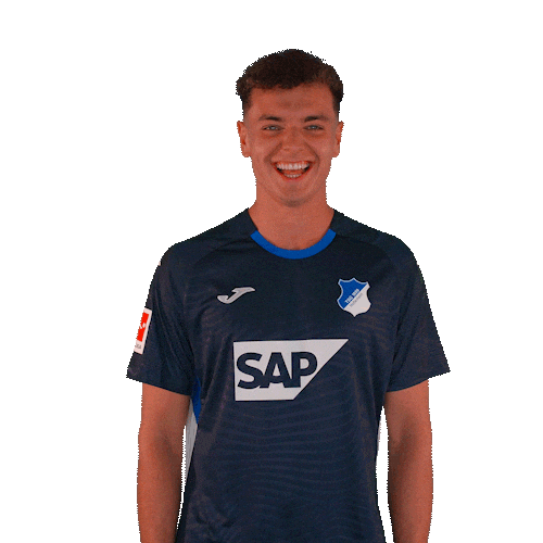 Sport Bundesliga Sticker by TSG Hoffenheim